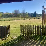 Betula Izerska *