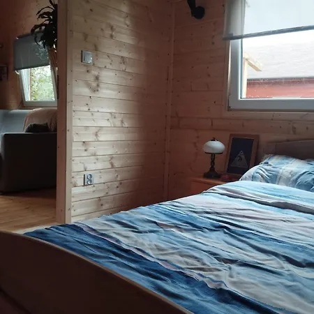 Betula Izerska Świeradów-Zdrój