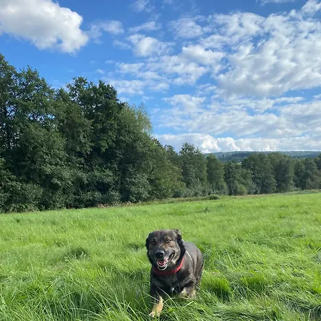 Ferienhaus Betula Izerska