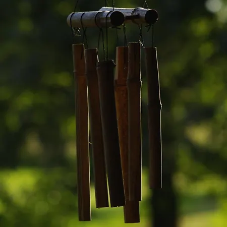 Betula Izerska * Świeradów-Zdrój