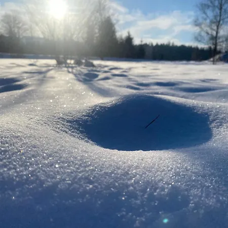 Betula Izerska * Świeradów-Zdrój