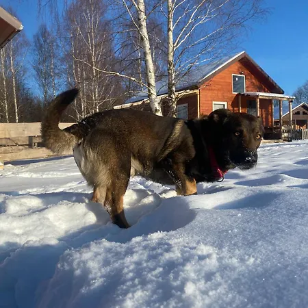 Betula Izerska Ferienhaus *
