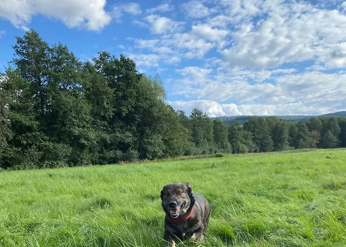 Ferienhaus Betula Izerska
