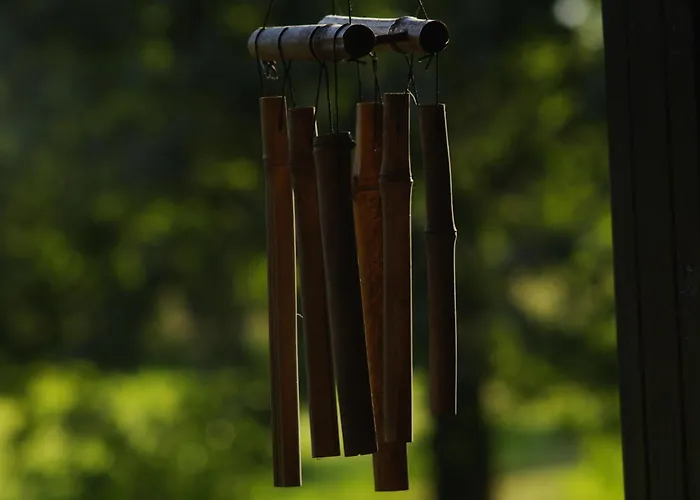 Betula Izerska * Świeradów-Zdrój