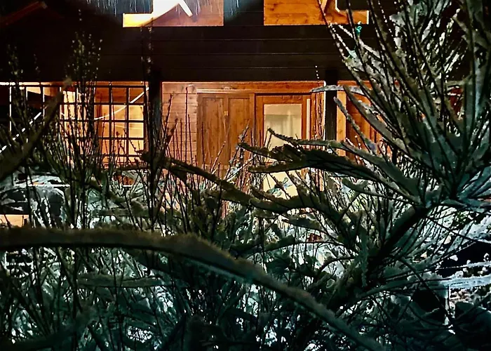 Betula Izerska * Świeradów-Zdrój