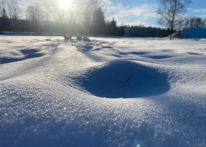 Betula Izerska * Świeradów-Zdrój