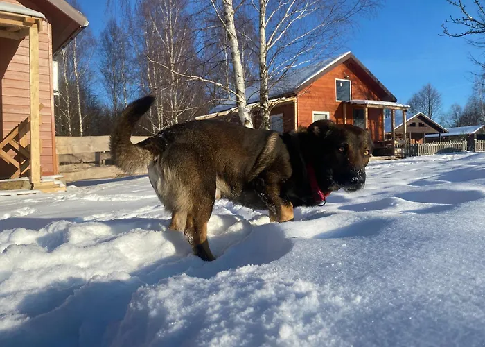 Betula Izerska Ferienhaus *