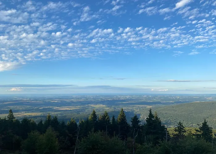 Ferienhaus Betula Izerska *
